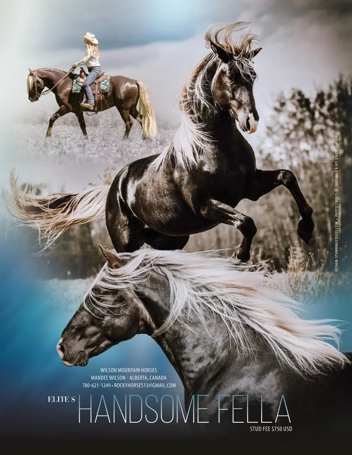 Elites Handsome Fella.jpg