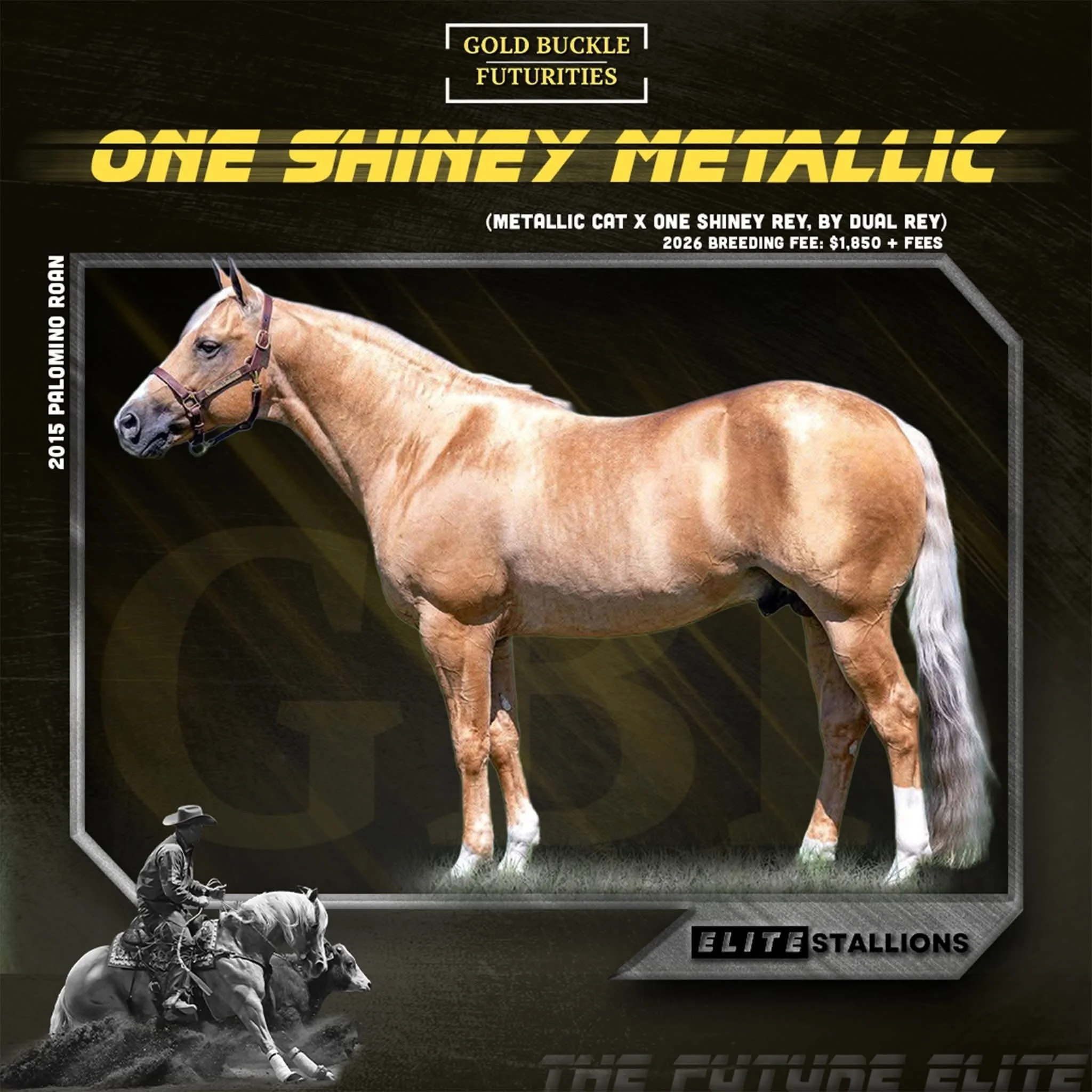 One Shiney Metallic.jpg