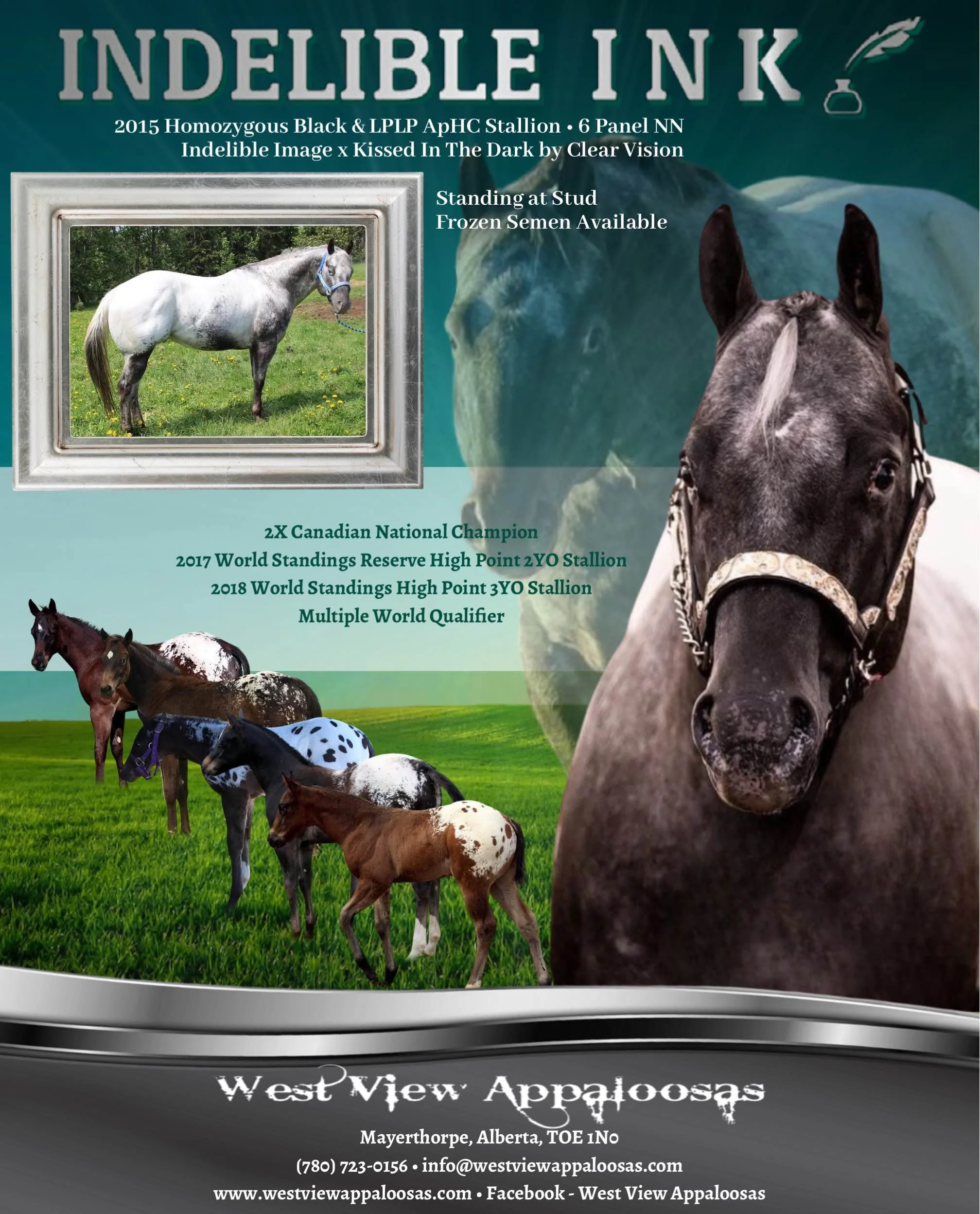 Image Upload 1 (1).png