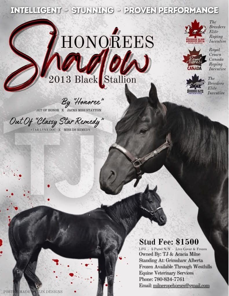 Honorees Shawdow stallion poster.jpeg