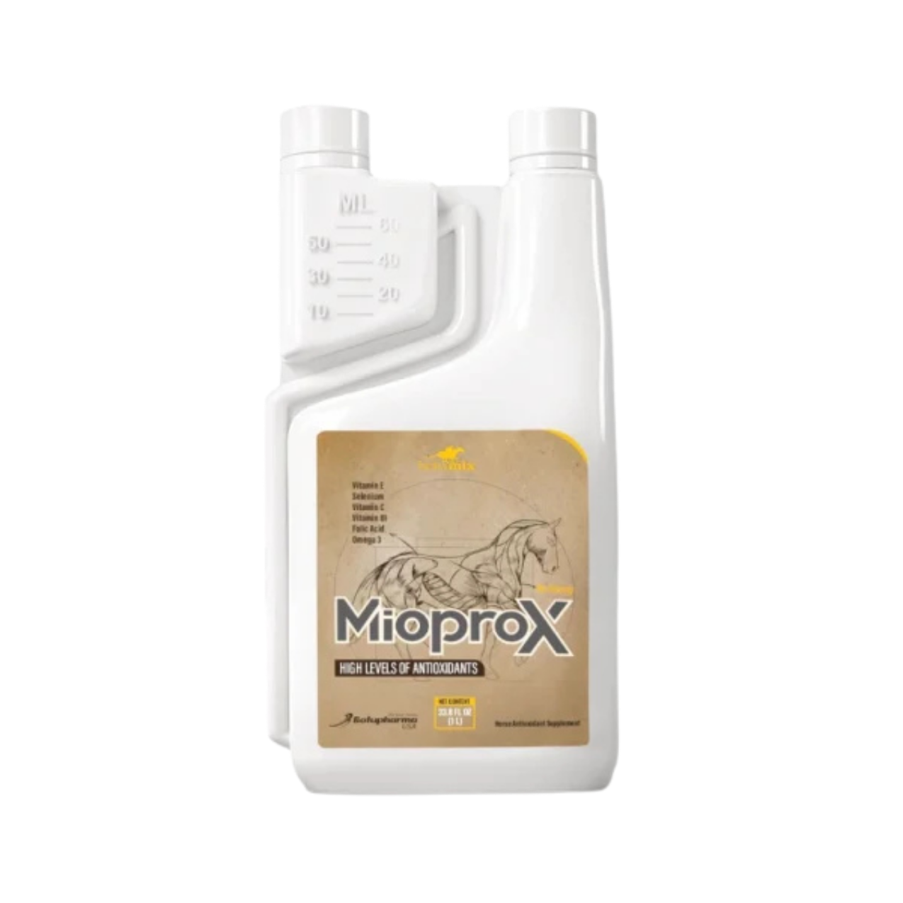 Untitled design (1).png