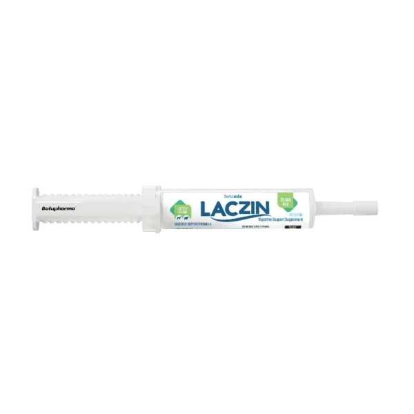 laczin-600x600.webp