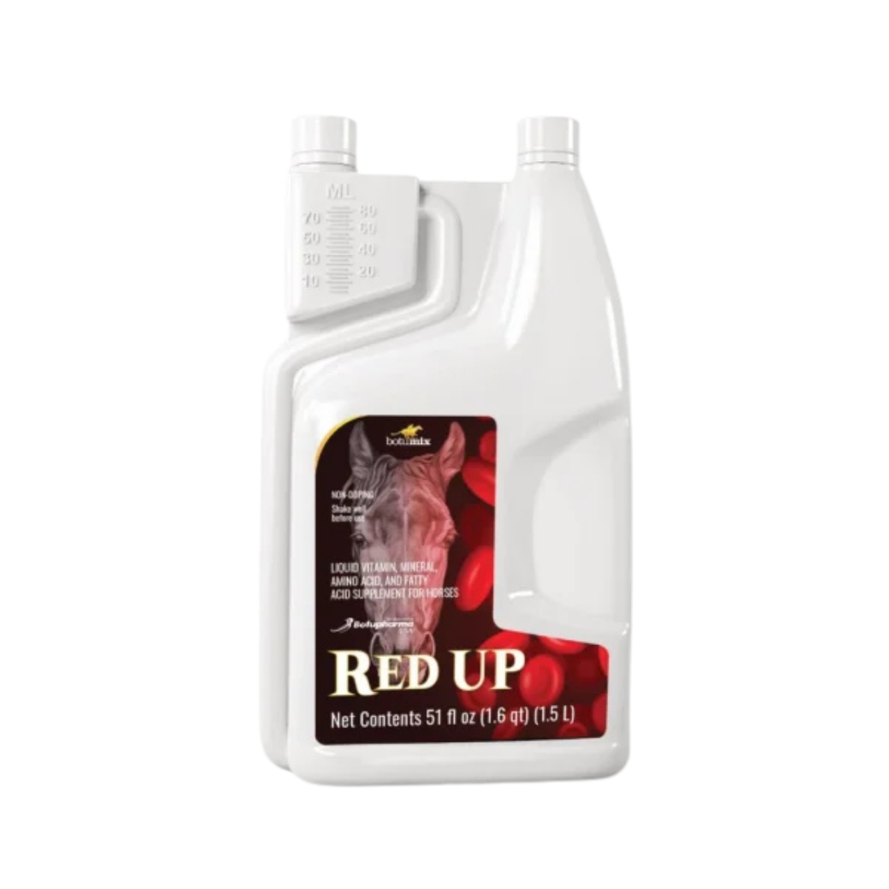 Untitled design (2).png