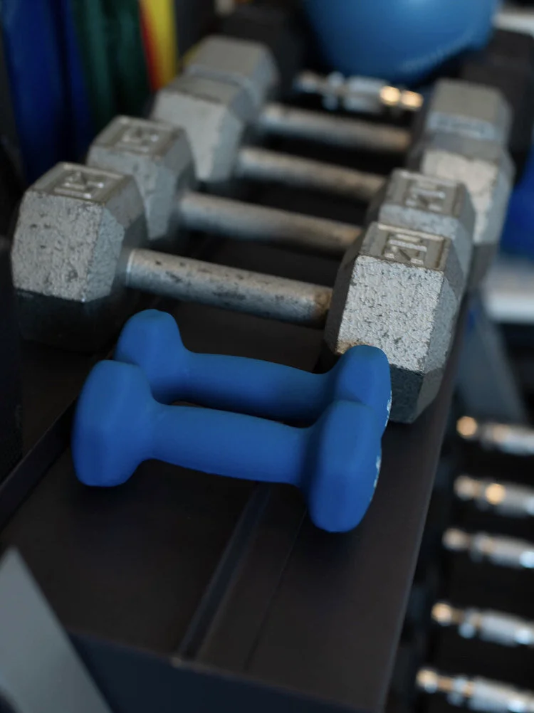 image_6487327 (3).JPG