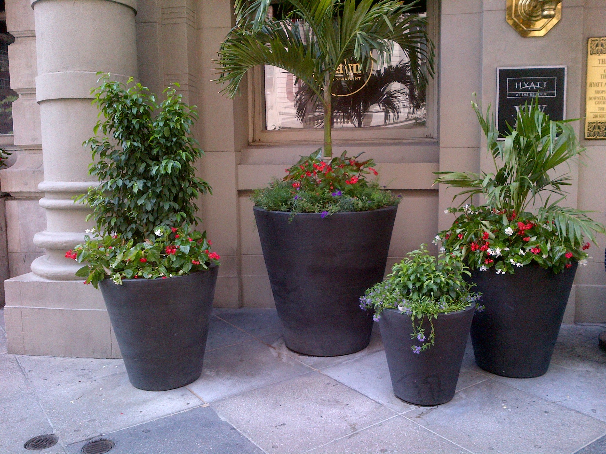 summer palm restaaurant.jpg