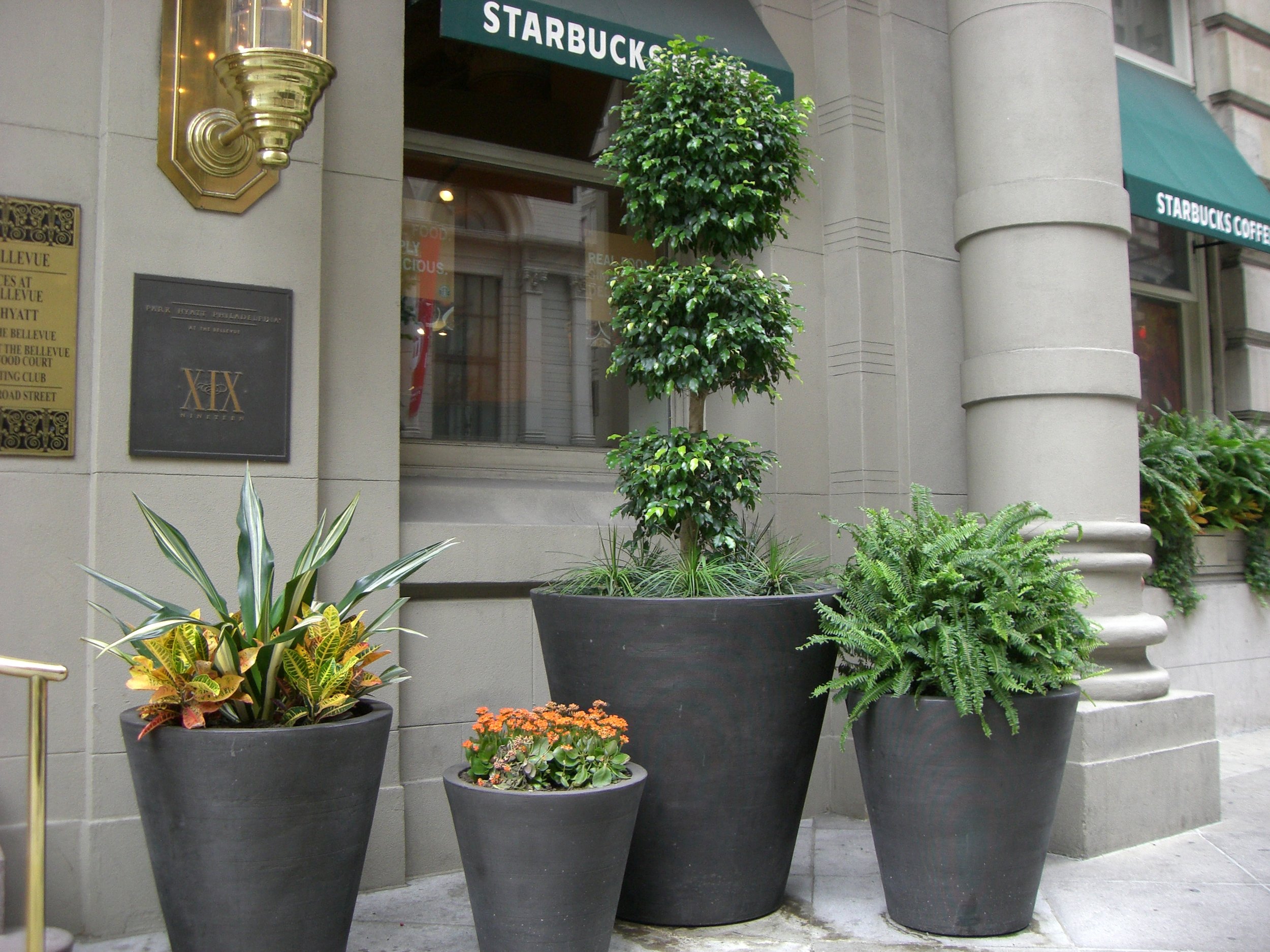 Park Hyatt 2.jpg