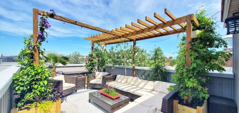 Top Design Tips for a Rooftop Garden
