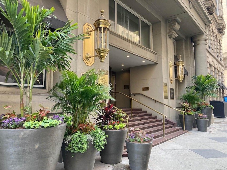 the bellevue hotel philadelphia pa plant services floral maintenance services hoffman design group storefront.JPG