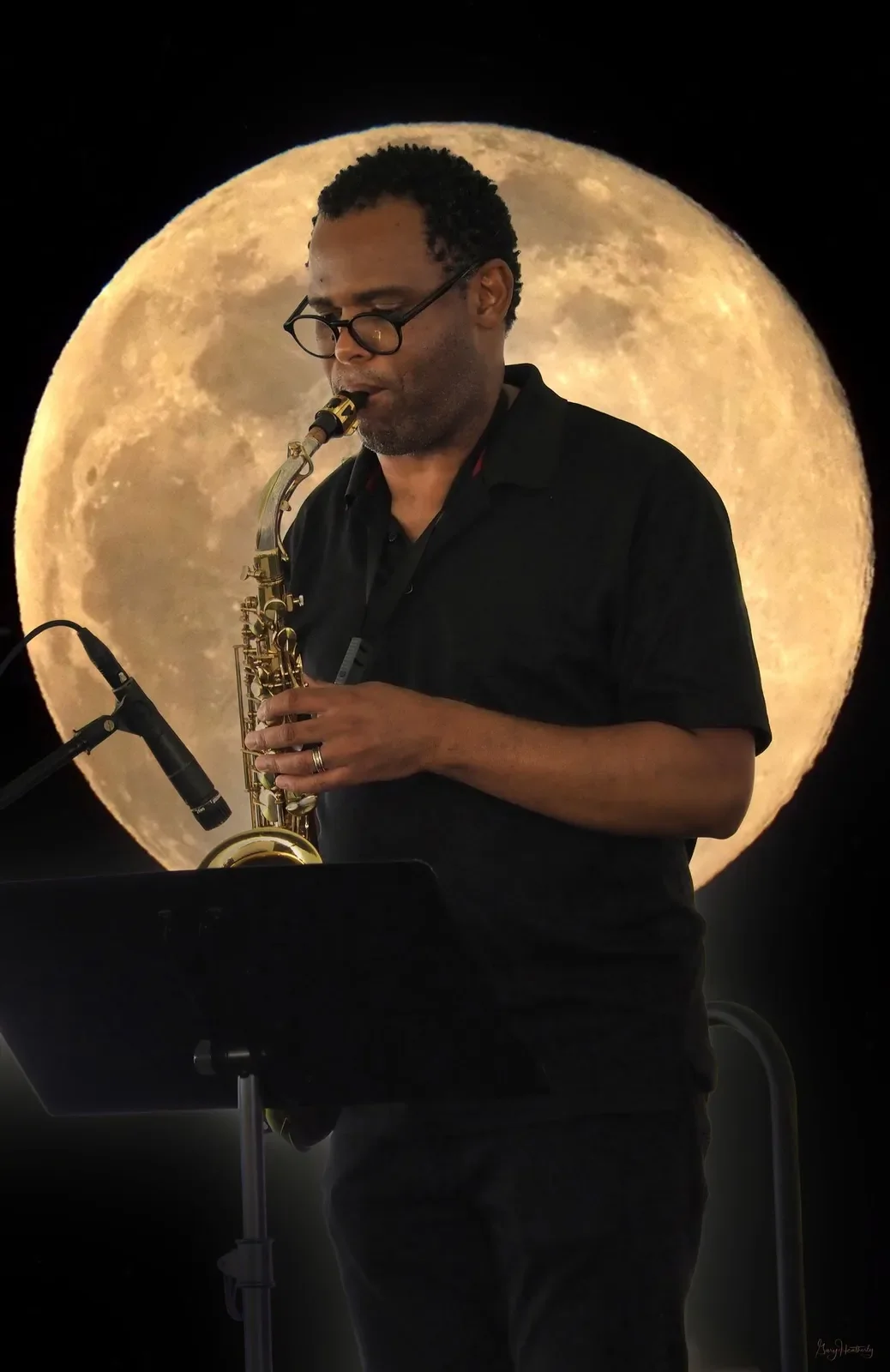 Will Boyd-Little Jumbo