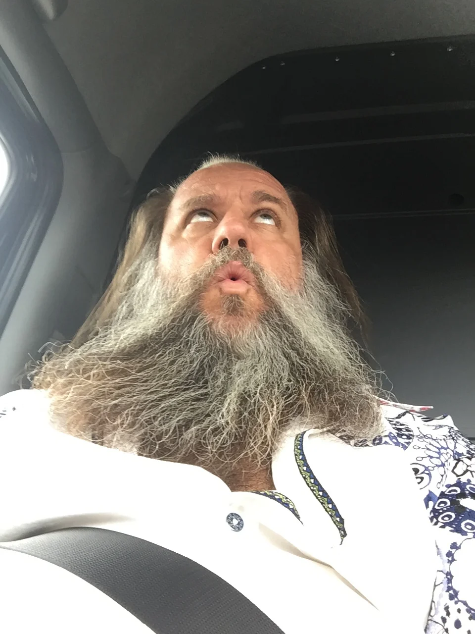 Bear (Innovation Instigator)