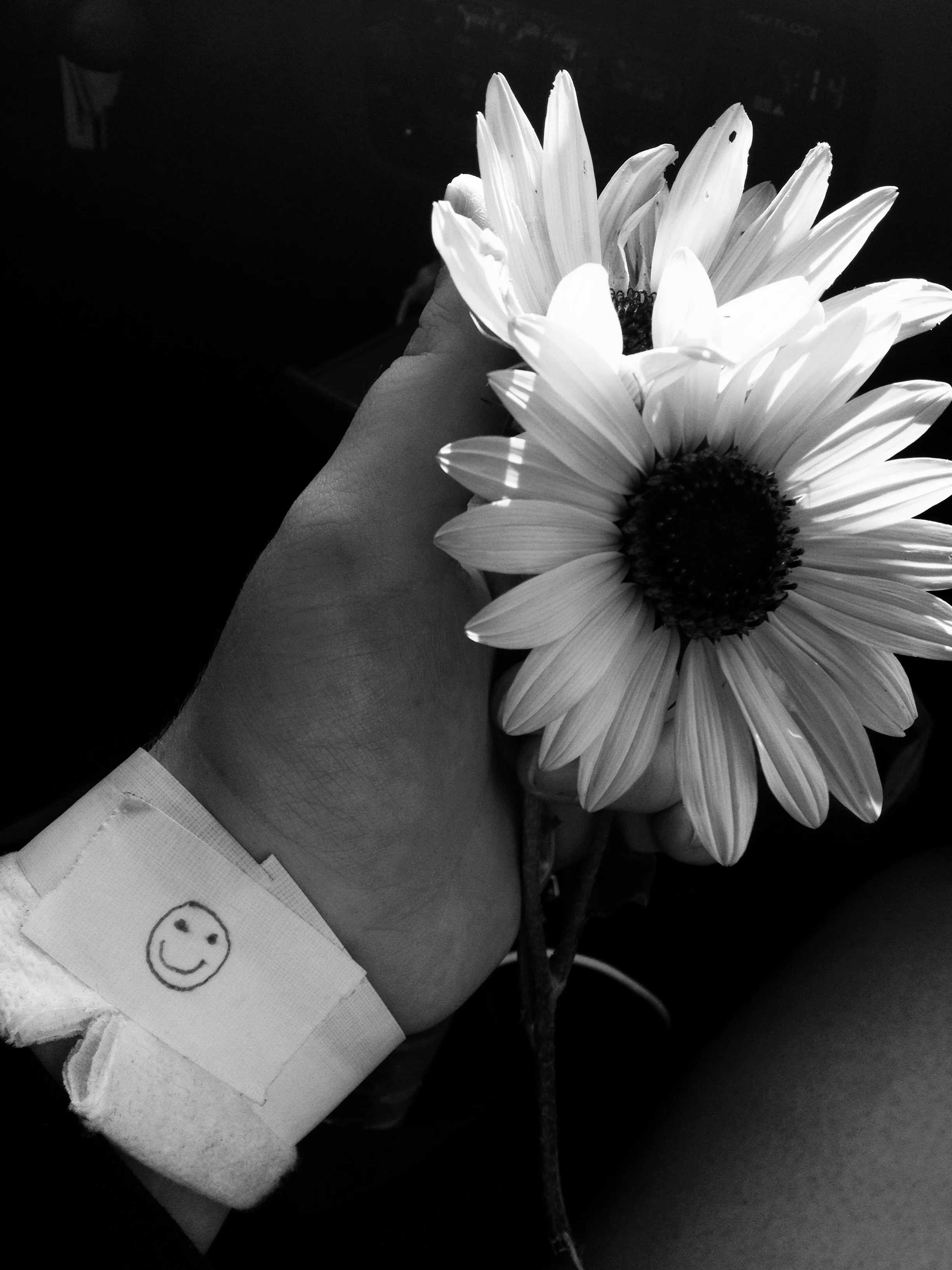 Always Look on the Bright Side.