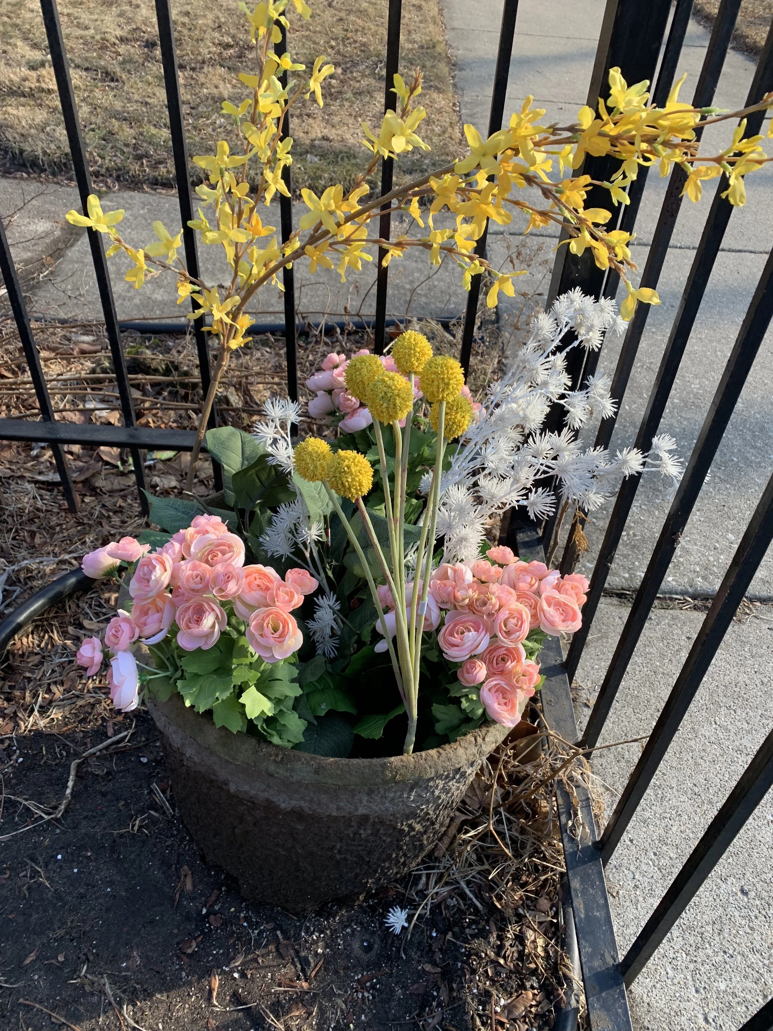 Welcoming Spring!