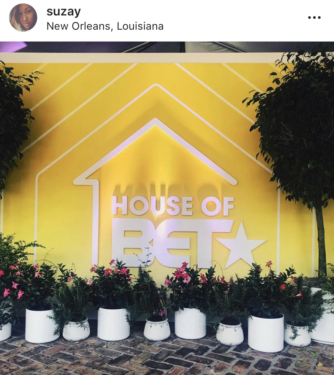 Multiple’s of the same thing in different forms is always eye catching. Here we have the white pots, flanked by two larger trees with the “House of BET” logo on the wall. Notice how “House of BET” is also similar but different from the BET HER brand presentation.