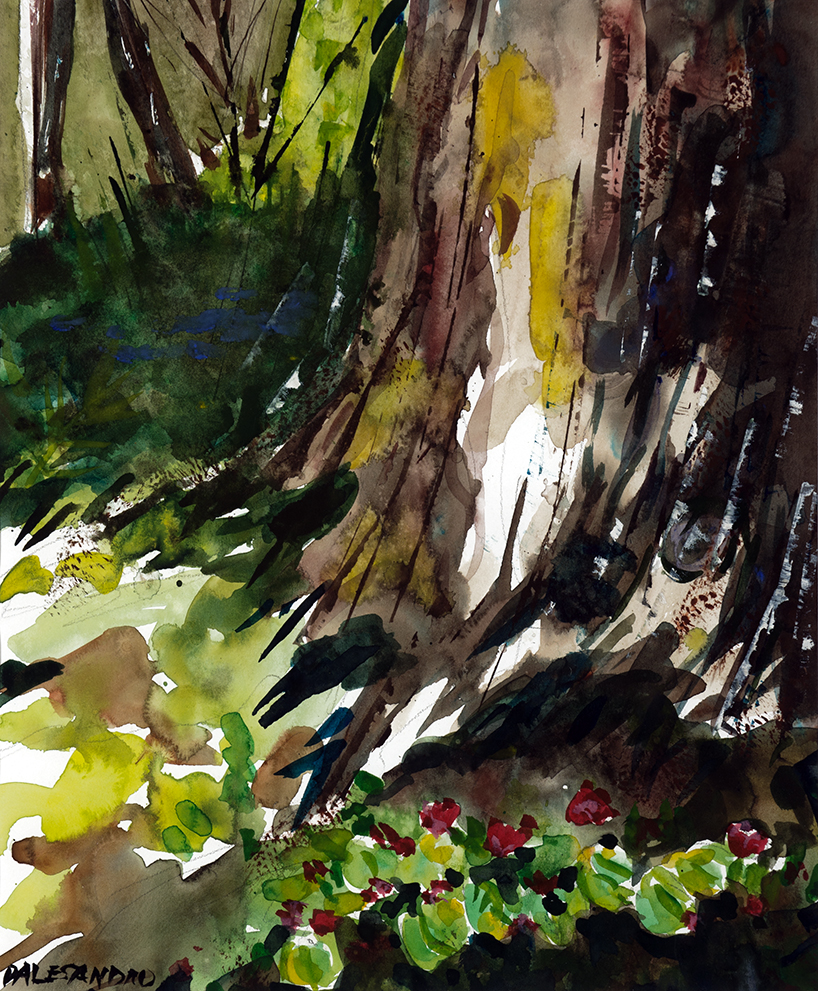 Forest Floor at the Bloedel Reserve
