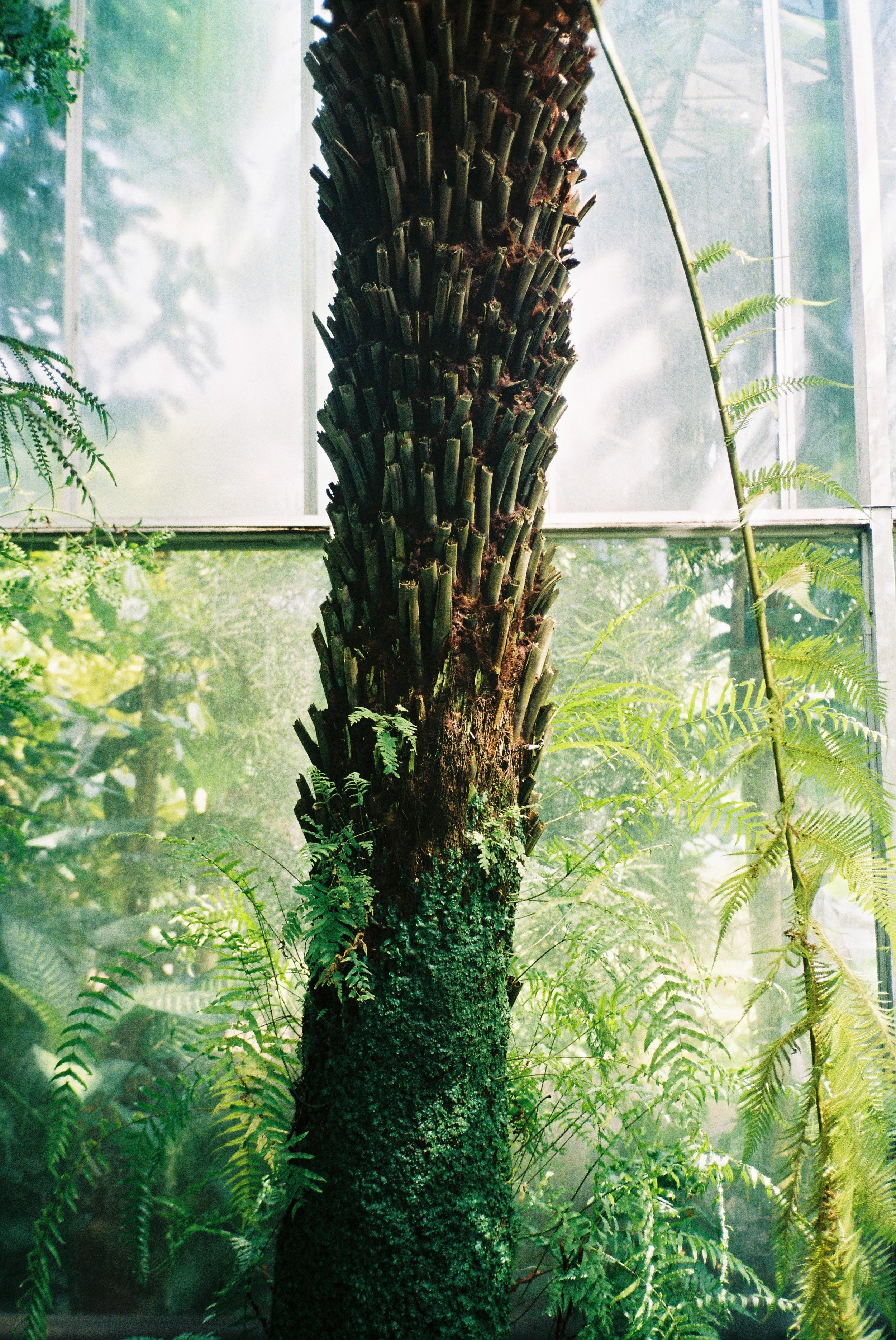 The Botanical Gardens, Edinburgh