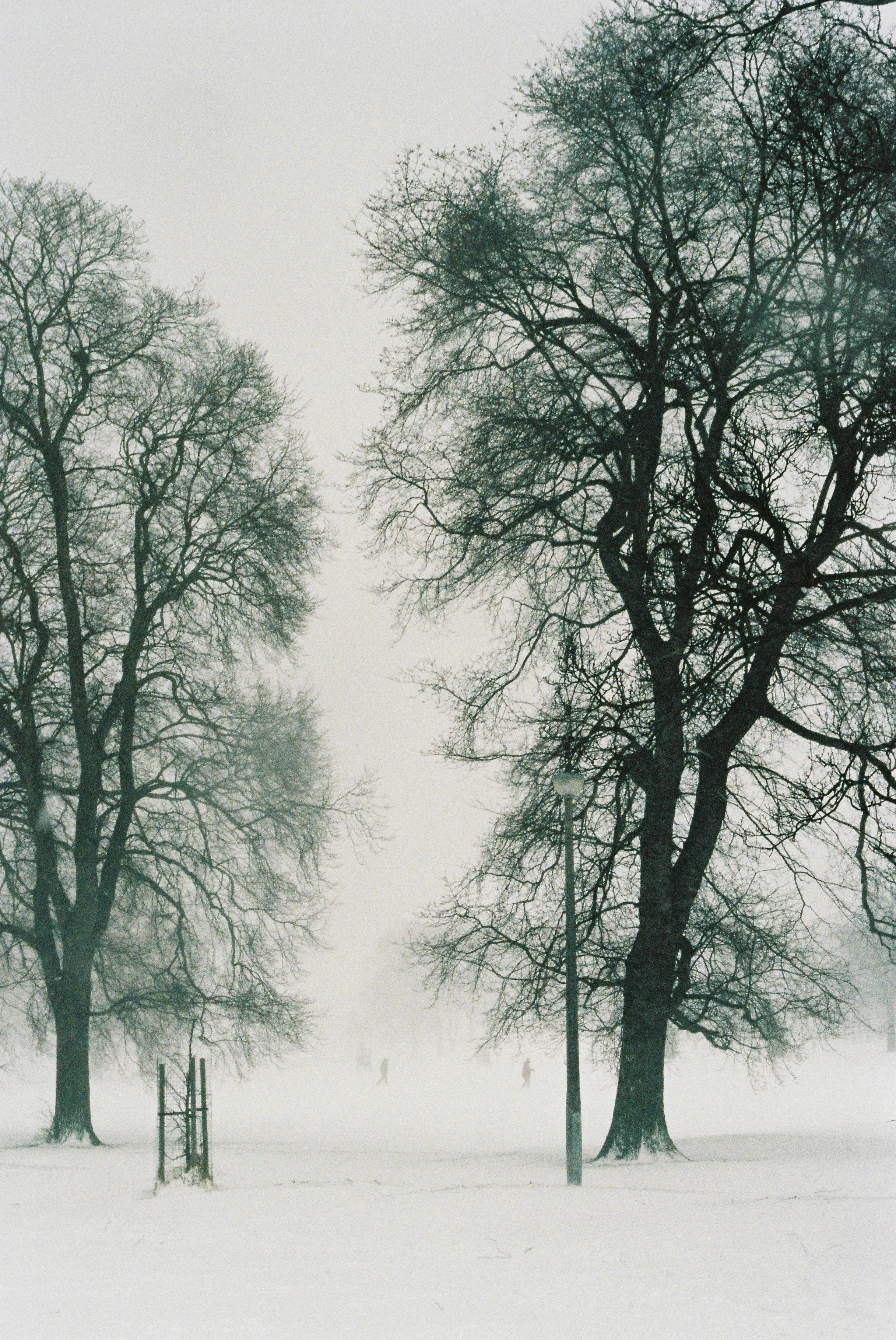 Leith Links snow.JPG