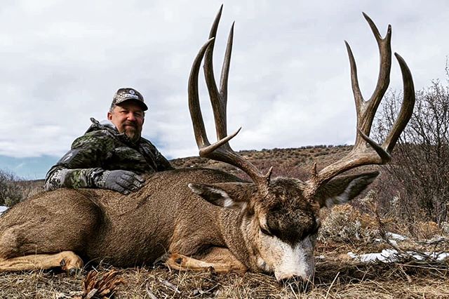 Prime Revolution show host Clint connected on a real beauty of a buck on his hunt with Bull Basin. Always great to have their crew in camp.
#bullbasinguidesandoutfitters #bullbasinguides #bullbasin w#bullbasinoutfitters
#teambullbasin 
#guidedmuledee