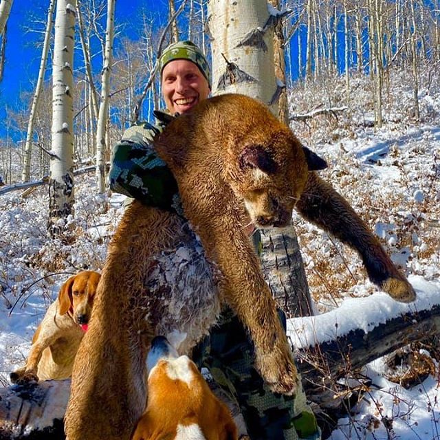 The Bull Basin lion team and Jamie got our mountain lion season off to a BIG, BIG start with a monster Tom lion-great work guys!
#bullbasinguidesandoutfitters #bullbasinguides #bullbasin #bullbasinoutfitters 
#mountainlionhunting 
#guidedmountainlion