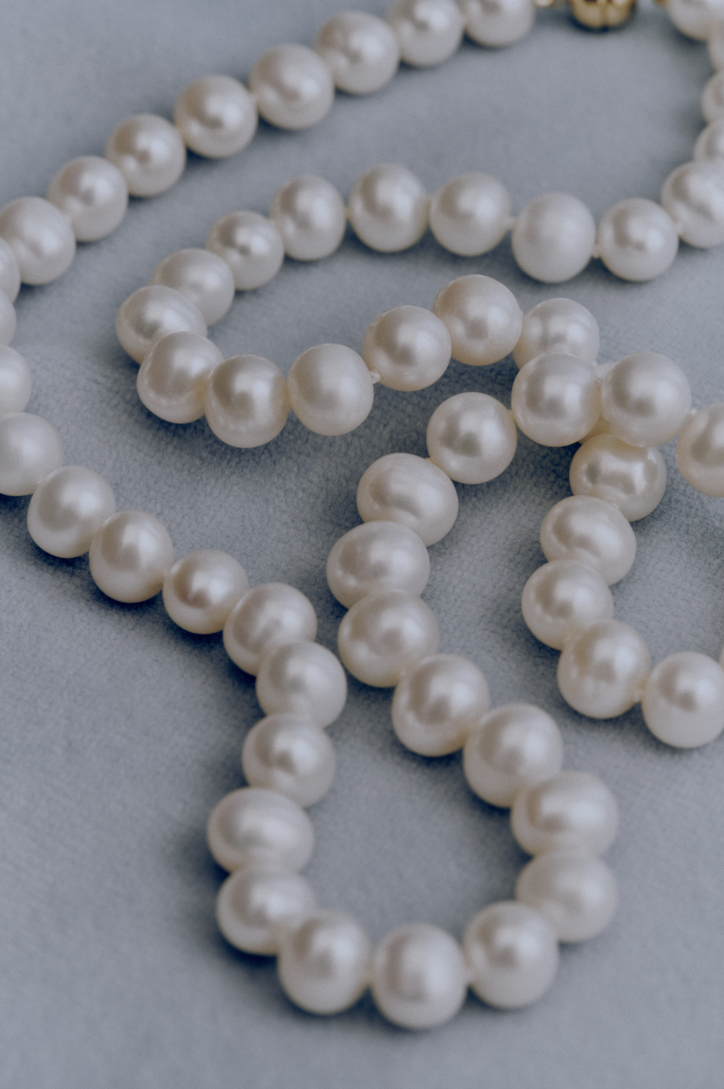 Screenshot 2026-01-27 at 1.29.21 PM.png