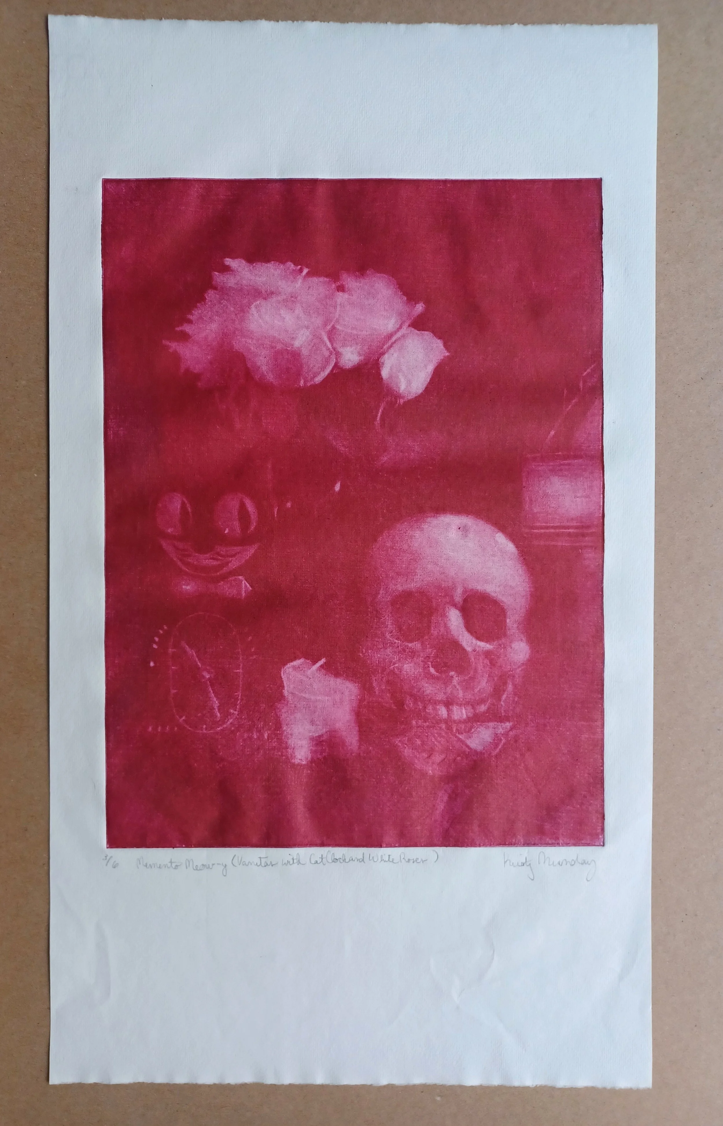 Memento Meow-y Raspberry.jpg