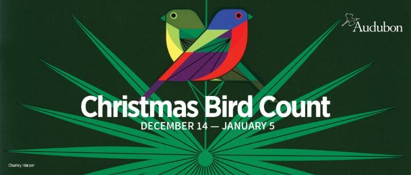 December with the Birds 2018