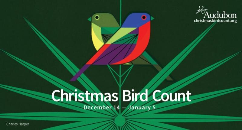 December with the Birds 2017