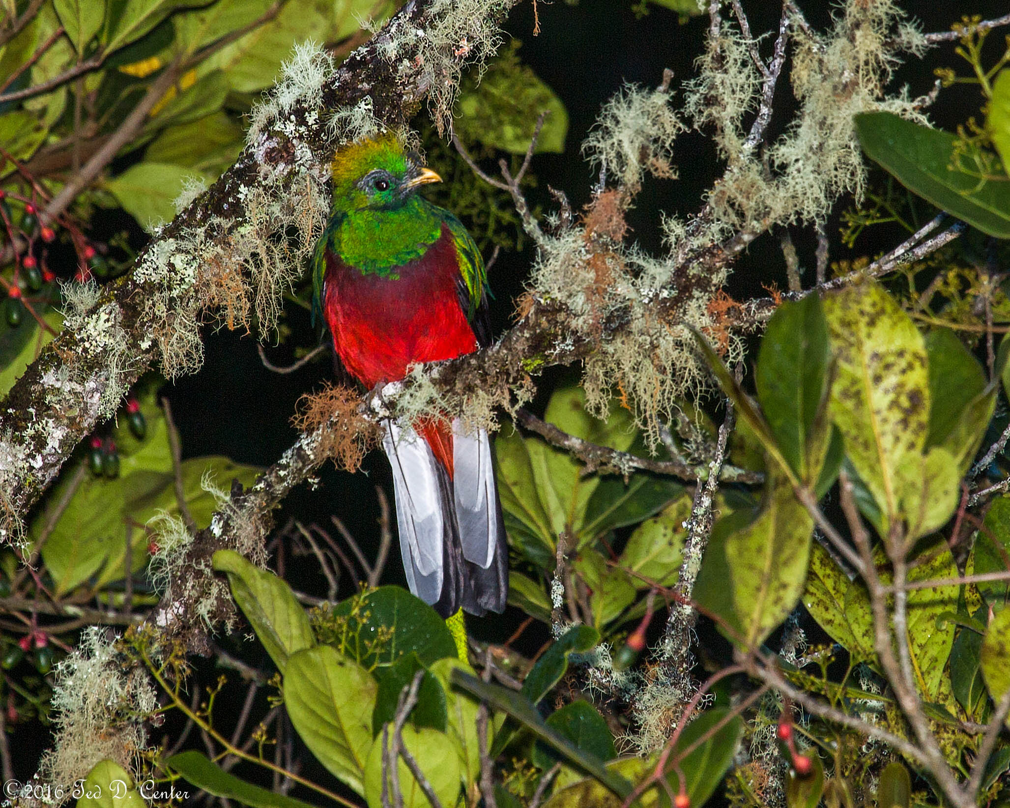 Costa Rica 2016