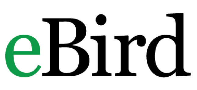 eBird