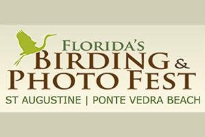 Florida's Birding and Photo Fest