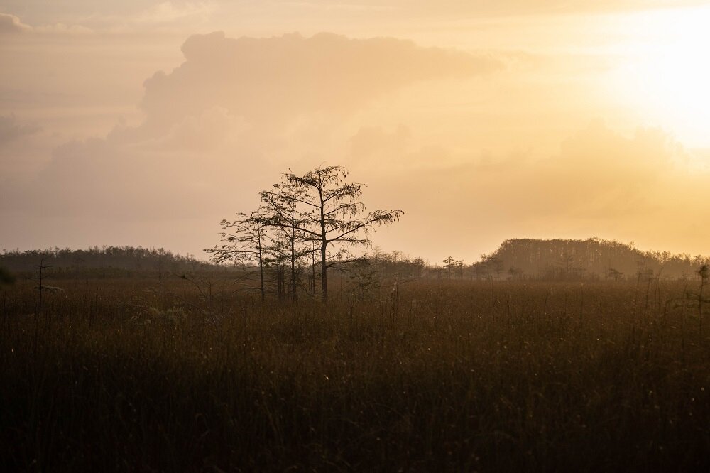 Sunrise over the Everglades