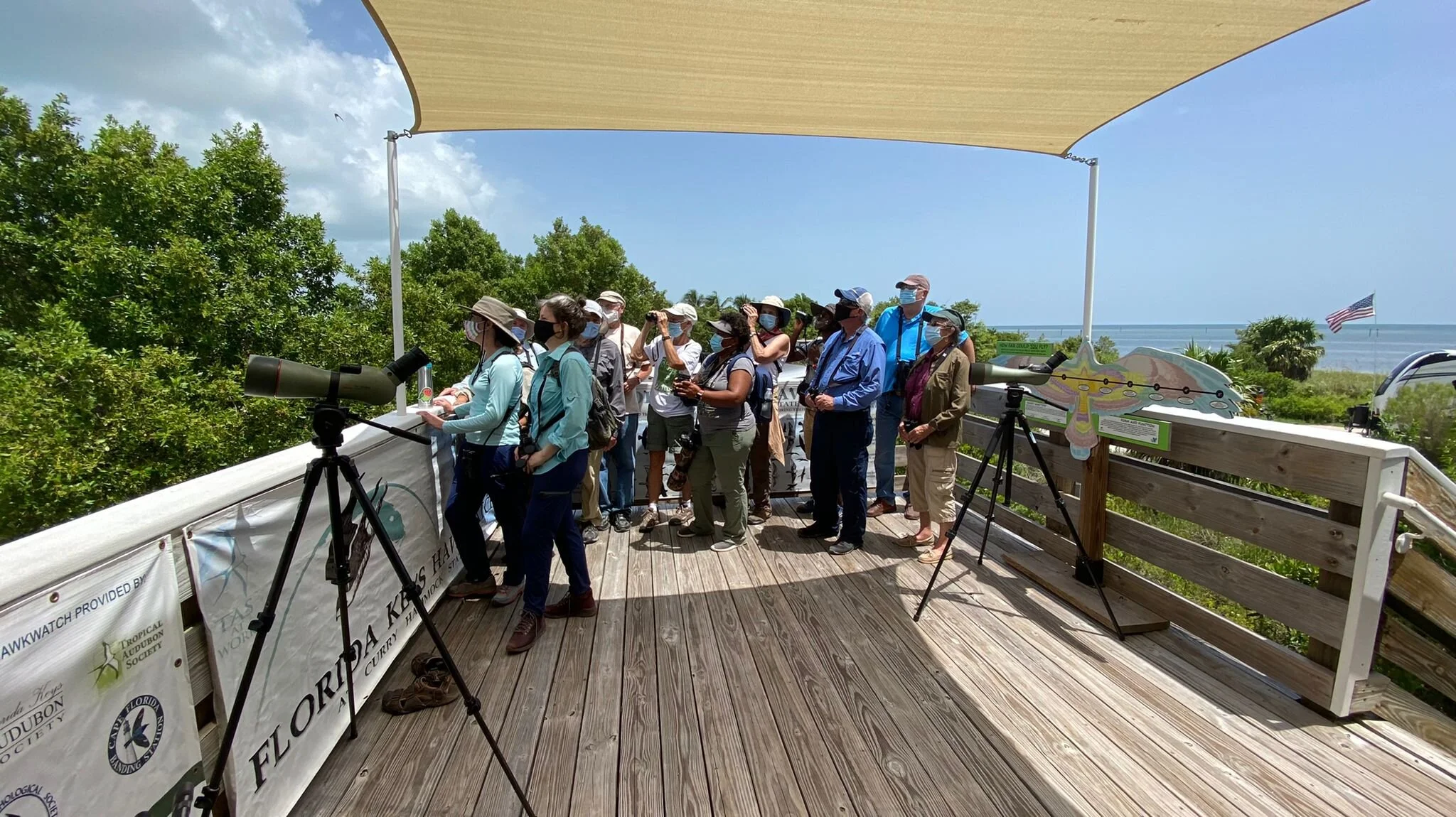 Fall Migration Birding in the Florida Keys