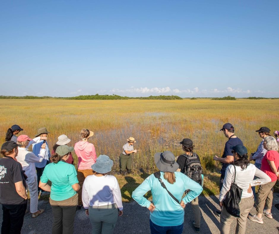 Everglades