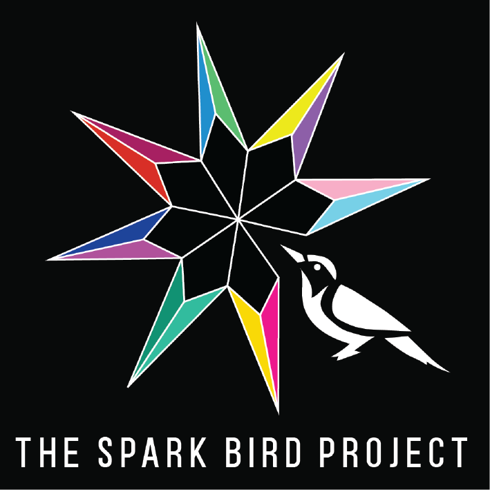 The Spark Bird Project Workshop