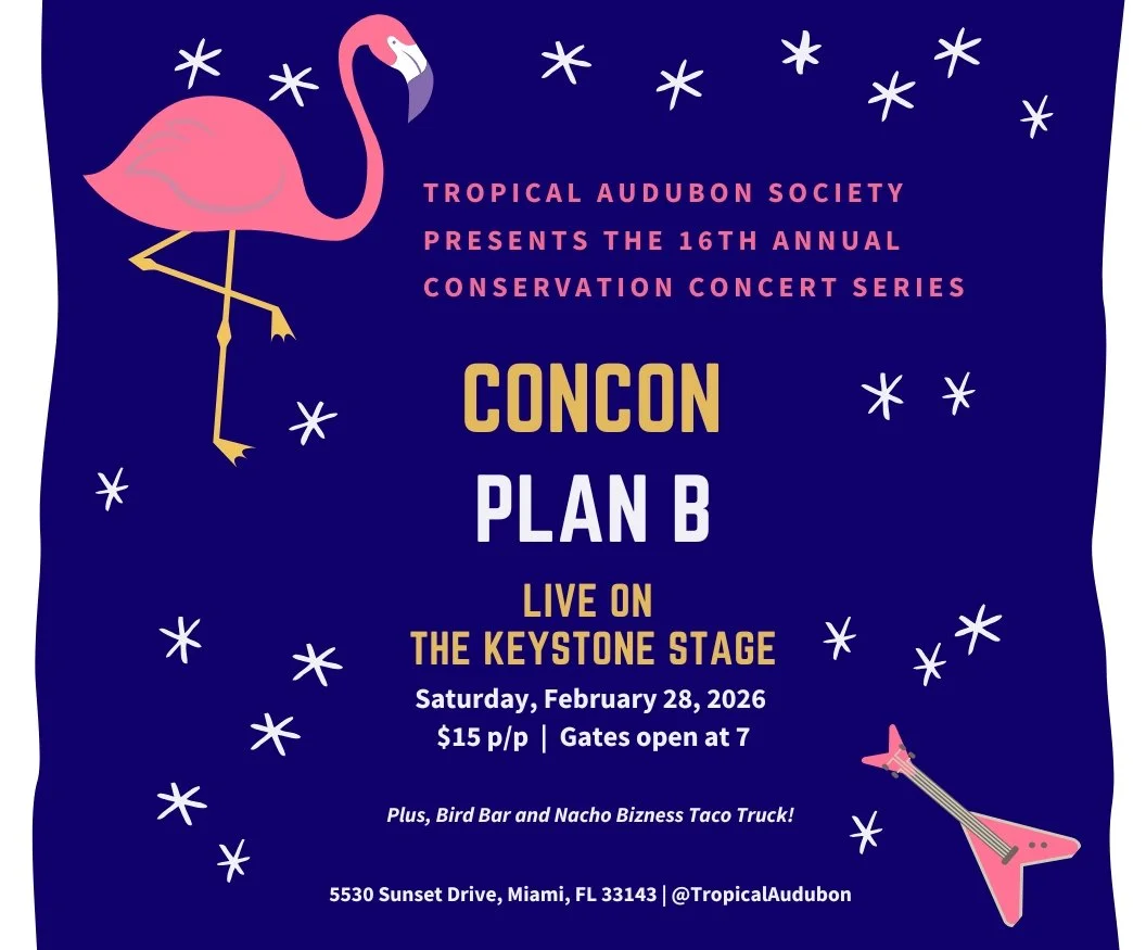 Plan B Conservation Concert
