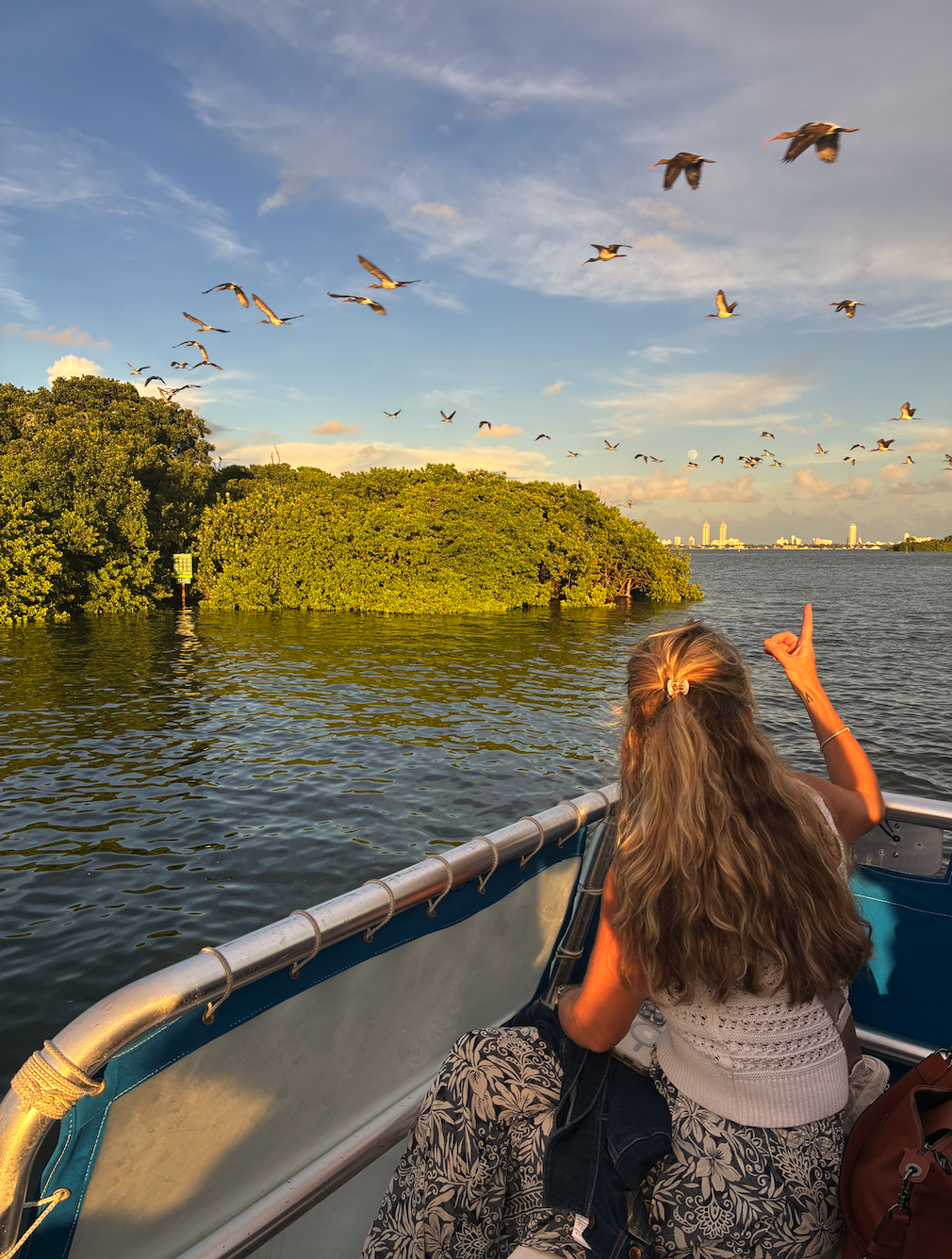 Sunset Seabird Cruise 10/9