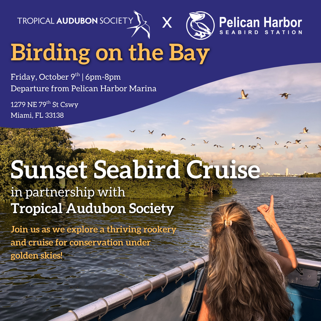 Sunset Cruise at Pelican Harbor Seabird Station
