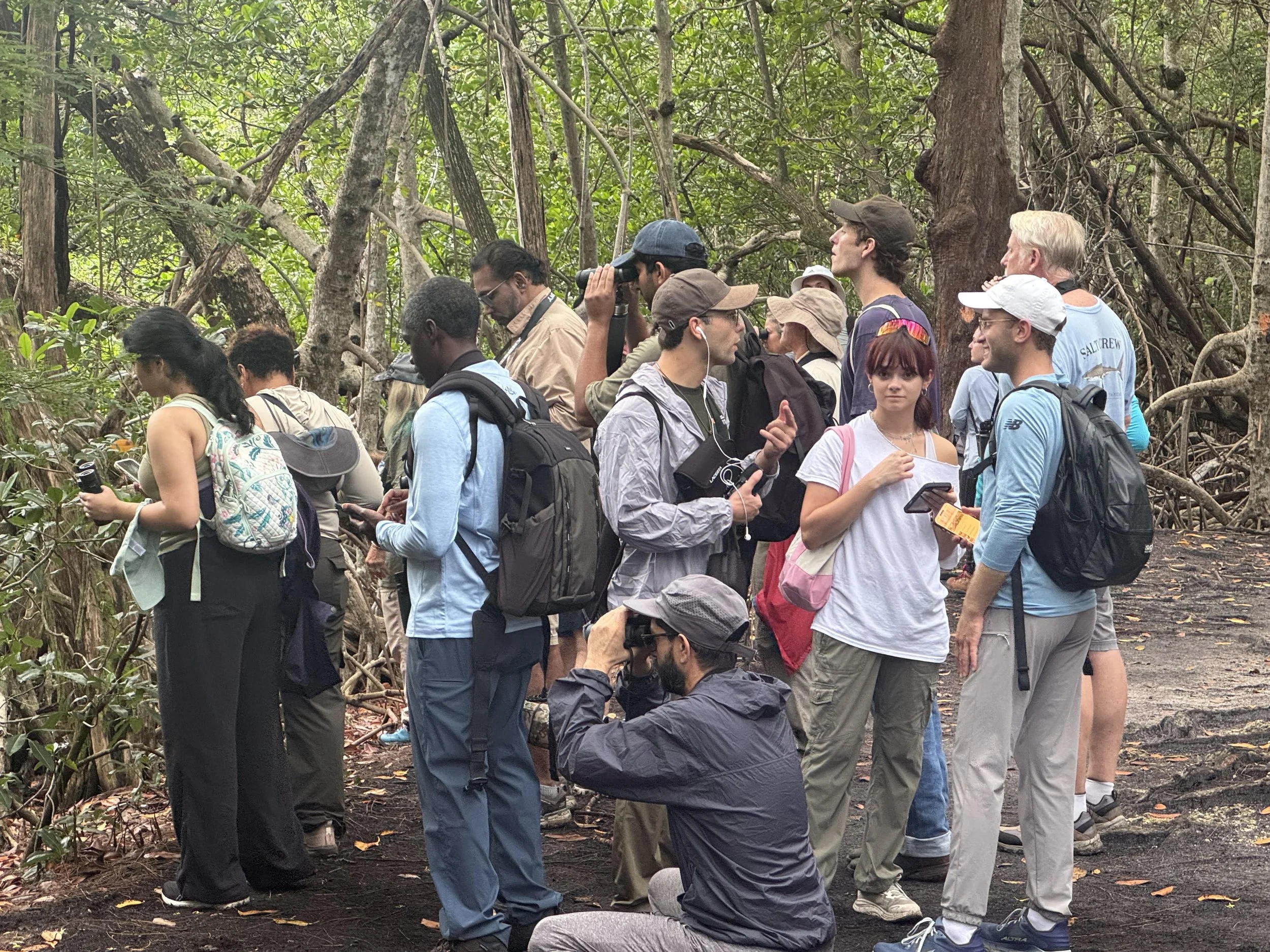 Greynolds Park and Highland Oaks Park Birding