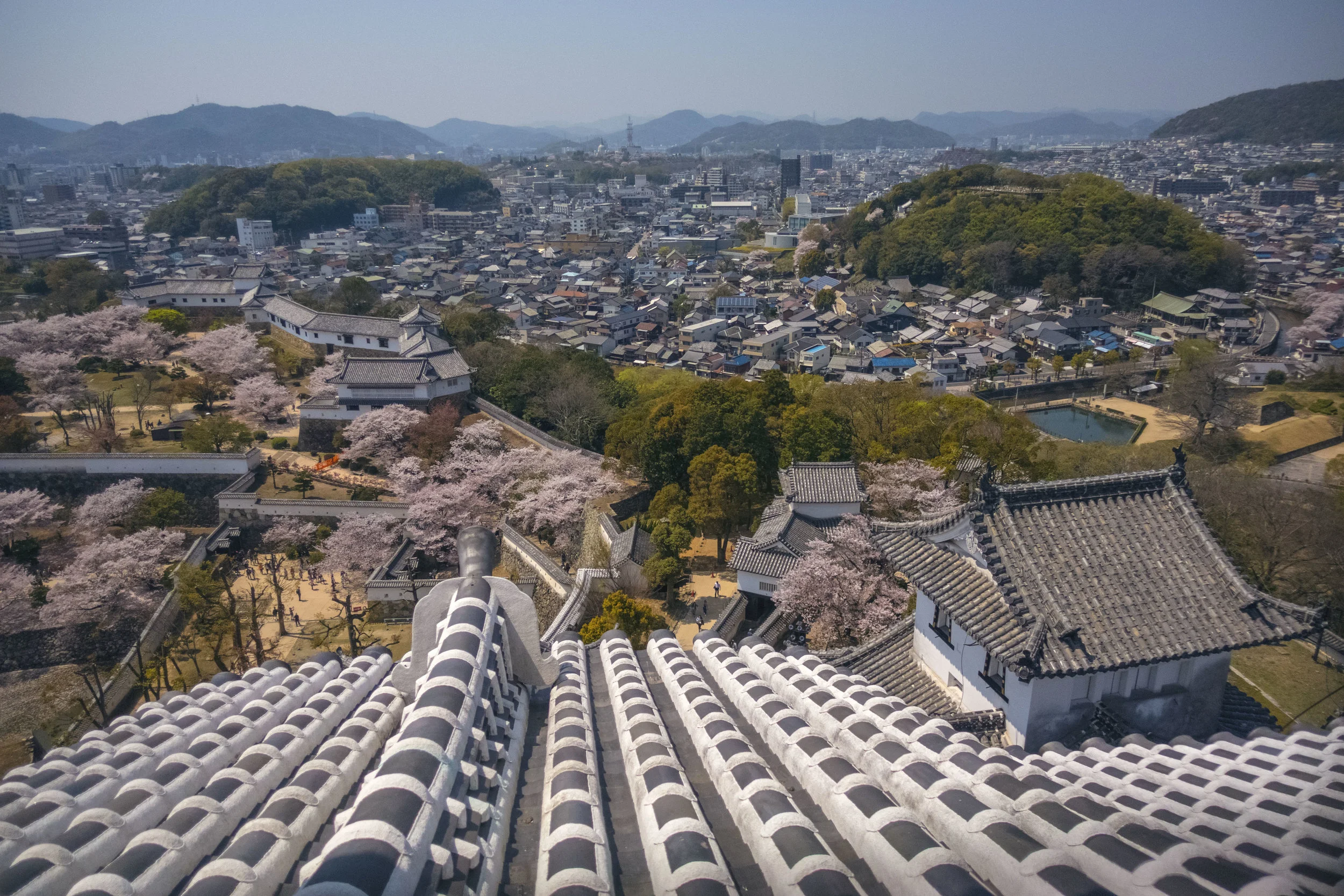 Japan_4_17_Himeiji(lookingdown).jpg