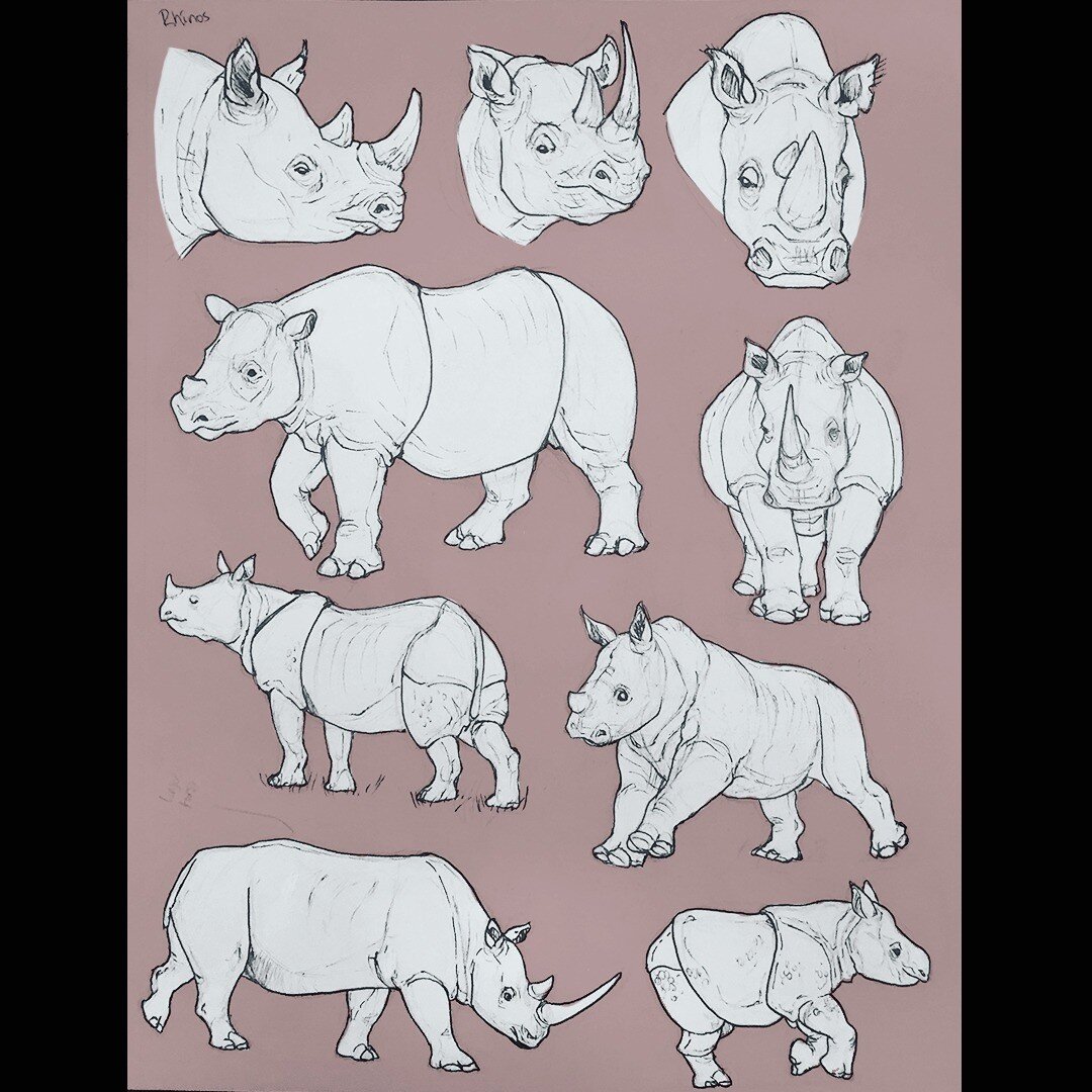 First time drawing rhinos this past summer. 🦏
.
.
.
#artistsoninstagram #artistsonig #sketch #traditionalart