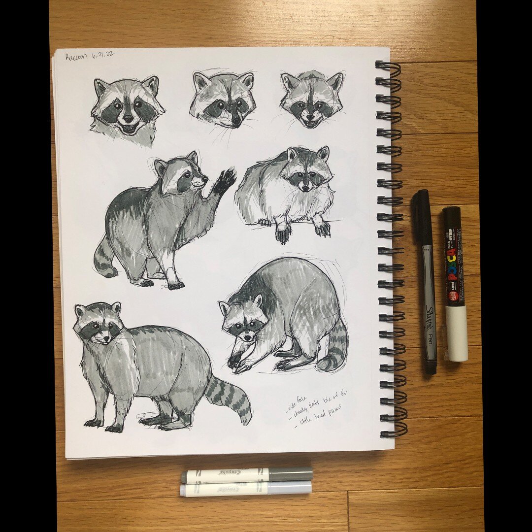 Finishing off the week with some raccoons from the mammal sketchbook that were colored with the last of some 10+ year old markers. 🦝
.
.
.
#artistsoninstagram #artistsonig #sketch #traditionalart #animalart
