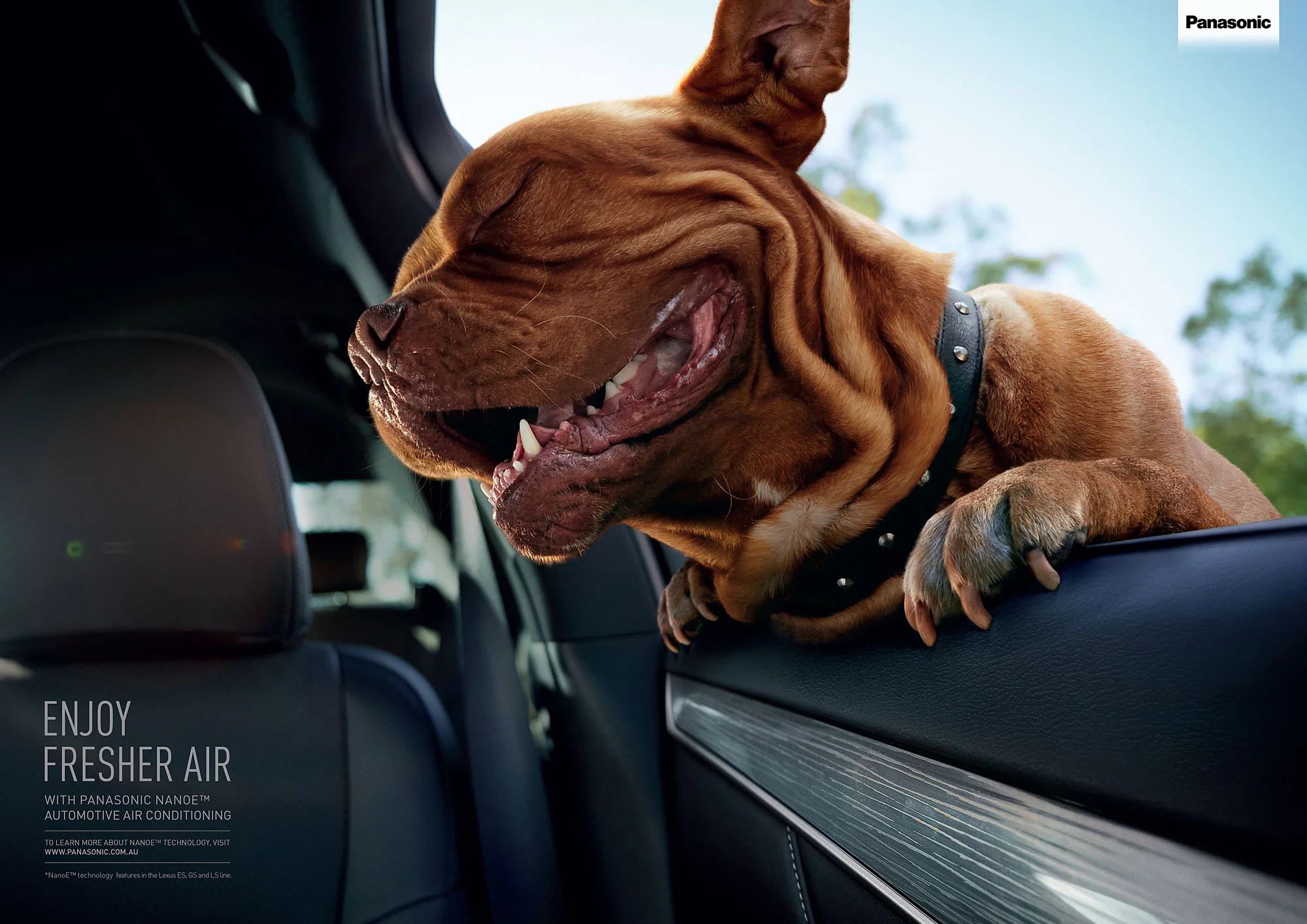 dogs-A2-for-cannes-1.jpg