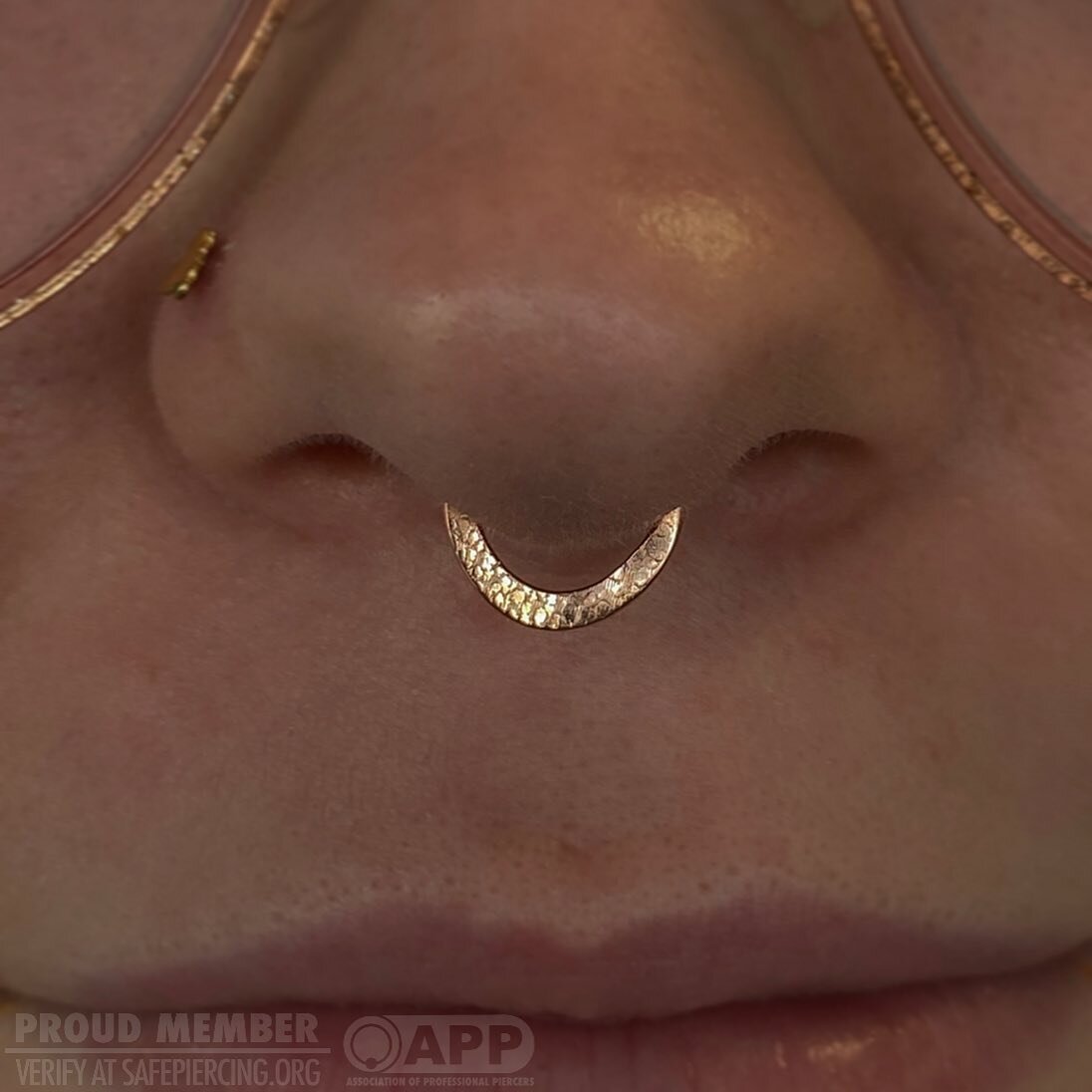 Adorable septum piercing done using @stargazerfinejewelry in rose gold 😍

This beautiful ring is also reversible for a different texture and style!

You can find me at @vanityottawa 

#safepiercing 
#septum 
#septumpiercing 
#ottawapiercer
#piercing