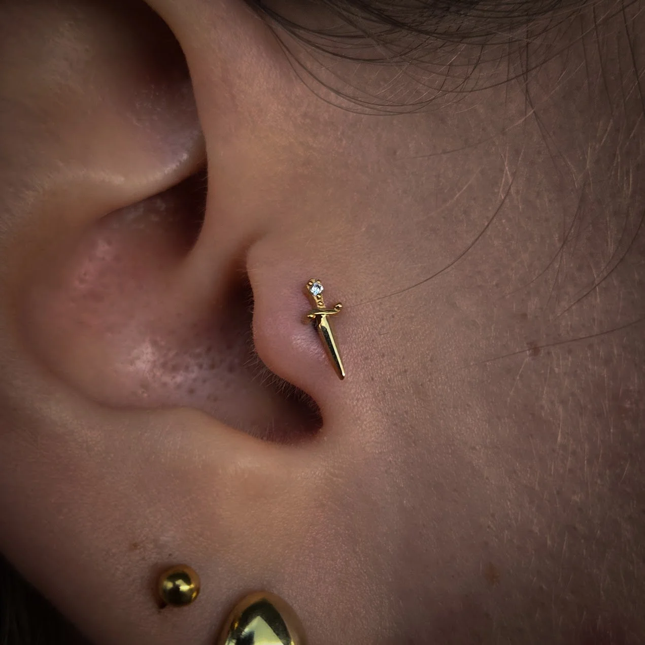 Tragus.jpg