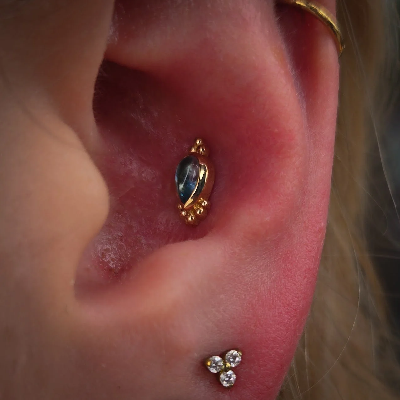 Conch 2.jpg