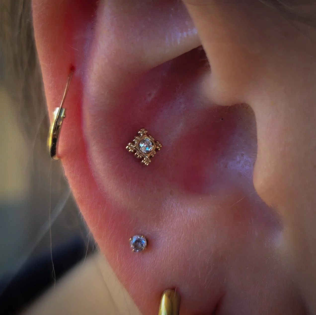 Conch.jpg