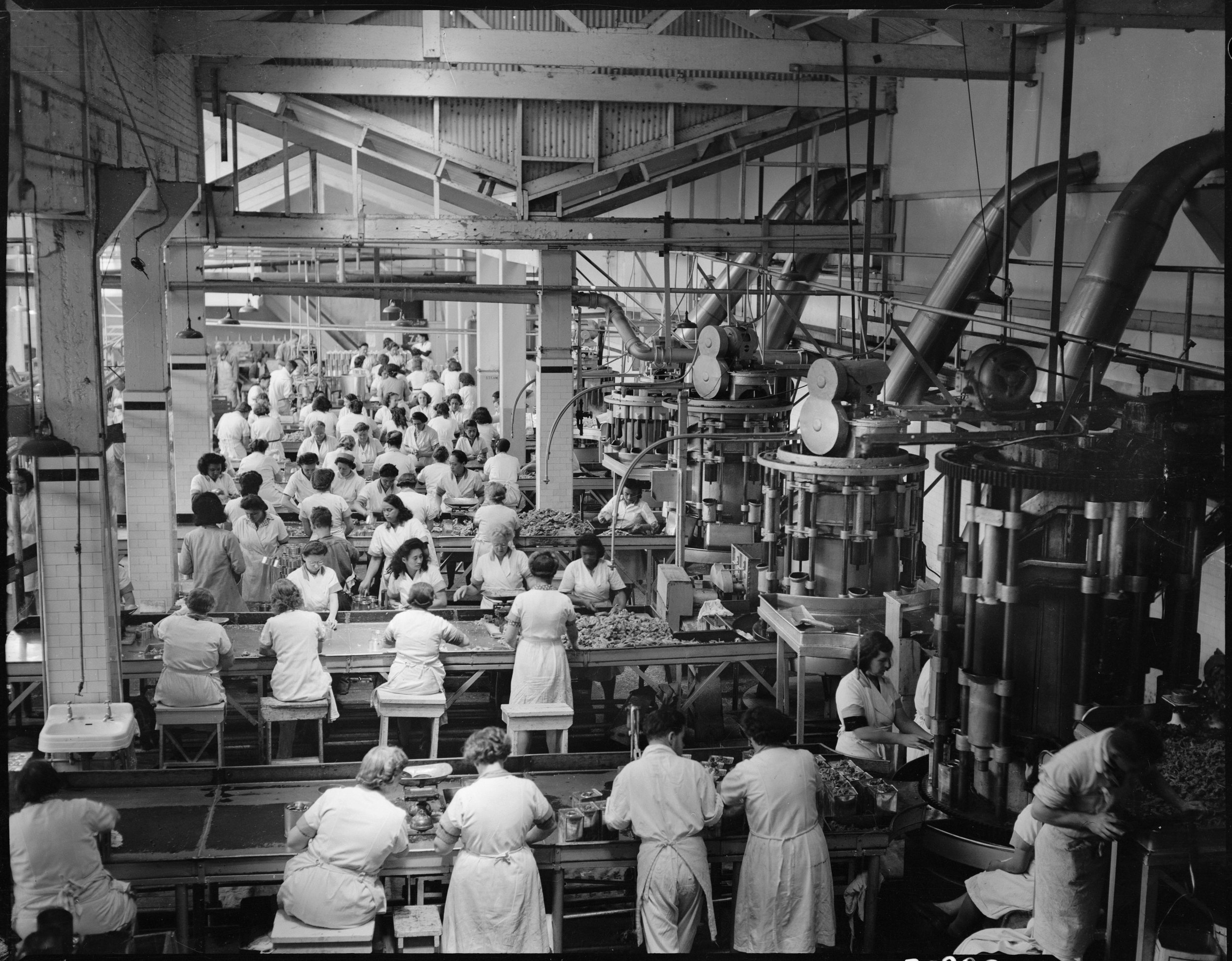 Walker, W (Mr), 1940s-1950s. Interior of cannery at Westfield Freezing Works, Otahuhu, Auckland. Tourist and Publicity. Ref: 1/2-034201-F. Alexander Turnbull Library, Wellington, New Zealand. 