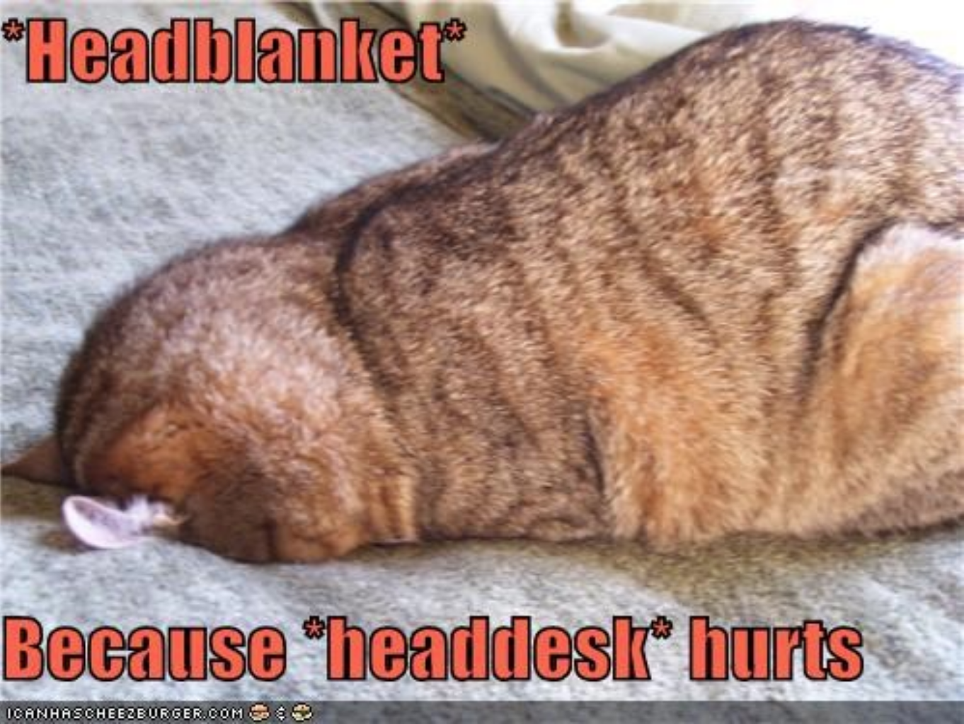 headblanket