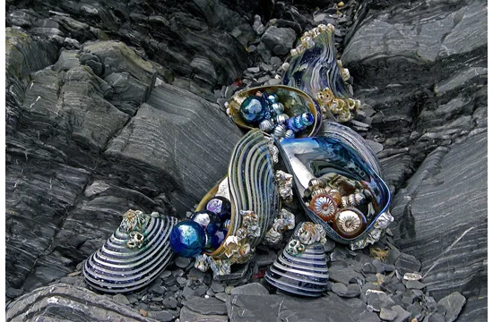 04_shorelinewaters_bightscovemussels.jpg