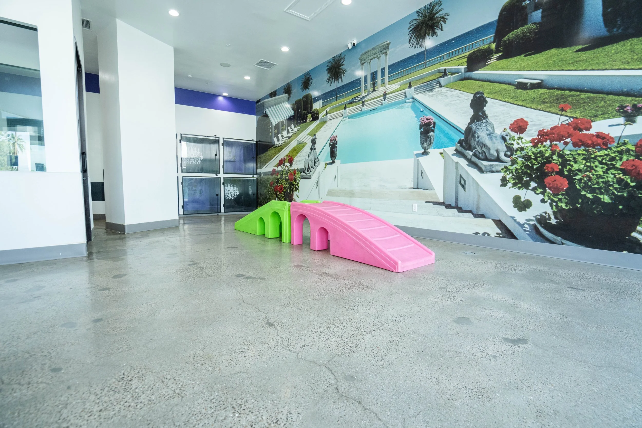 Tender Loving Care Pet Spa (re - Opened Now Petrock Hotel And Spa )