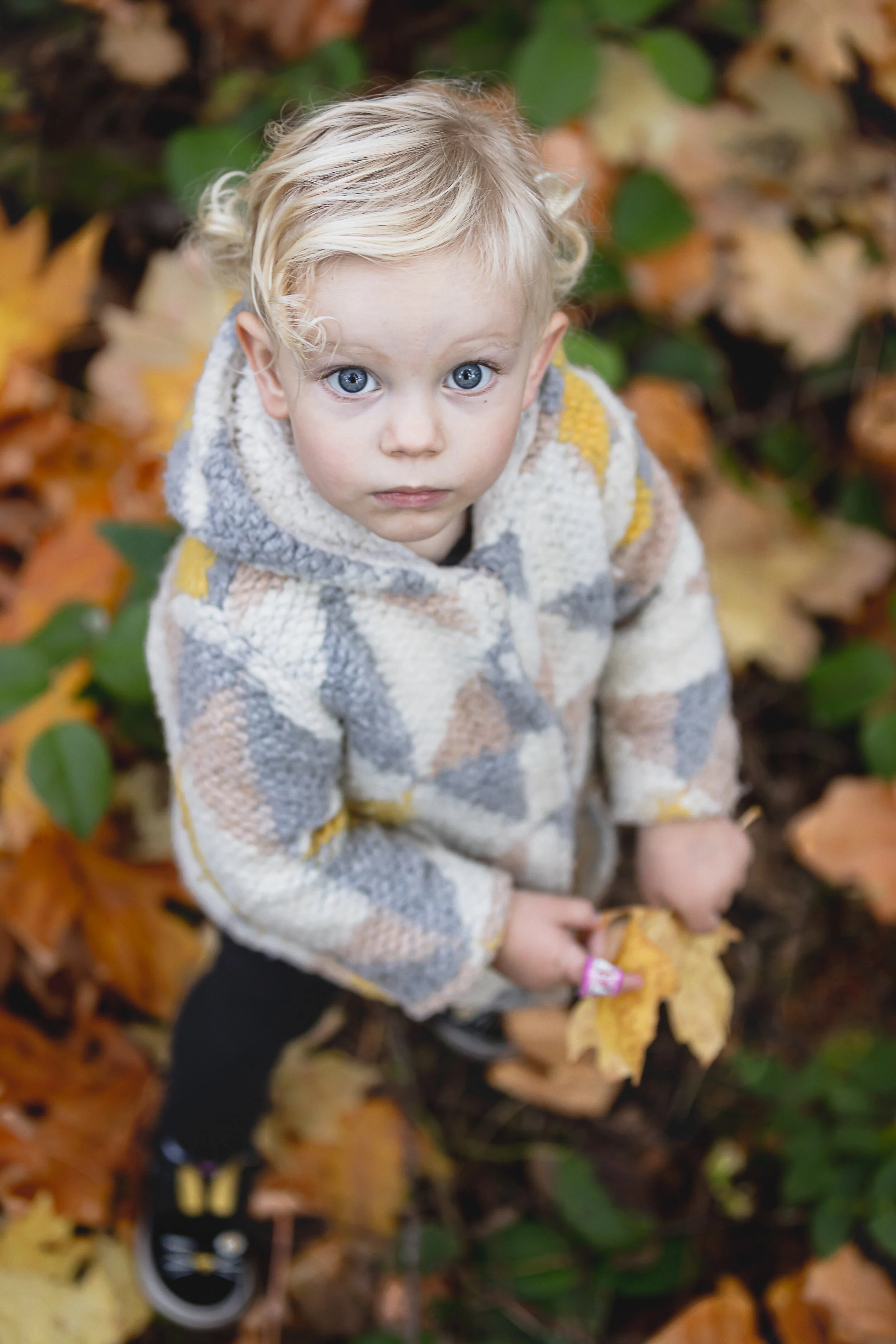 Squarespace 009-16.jpg